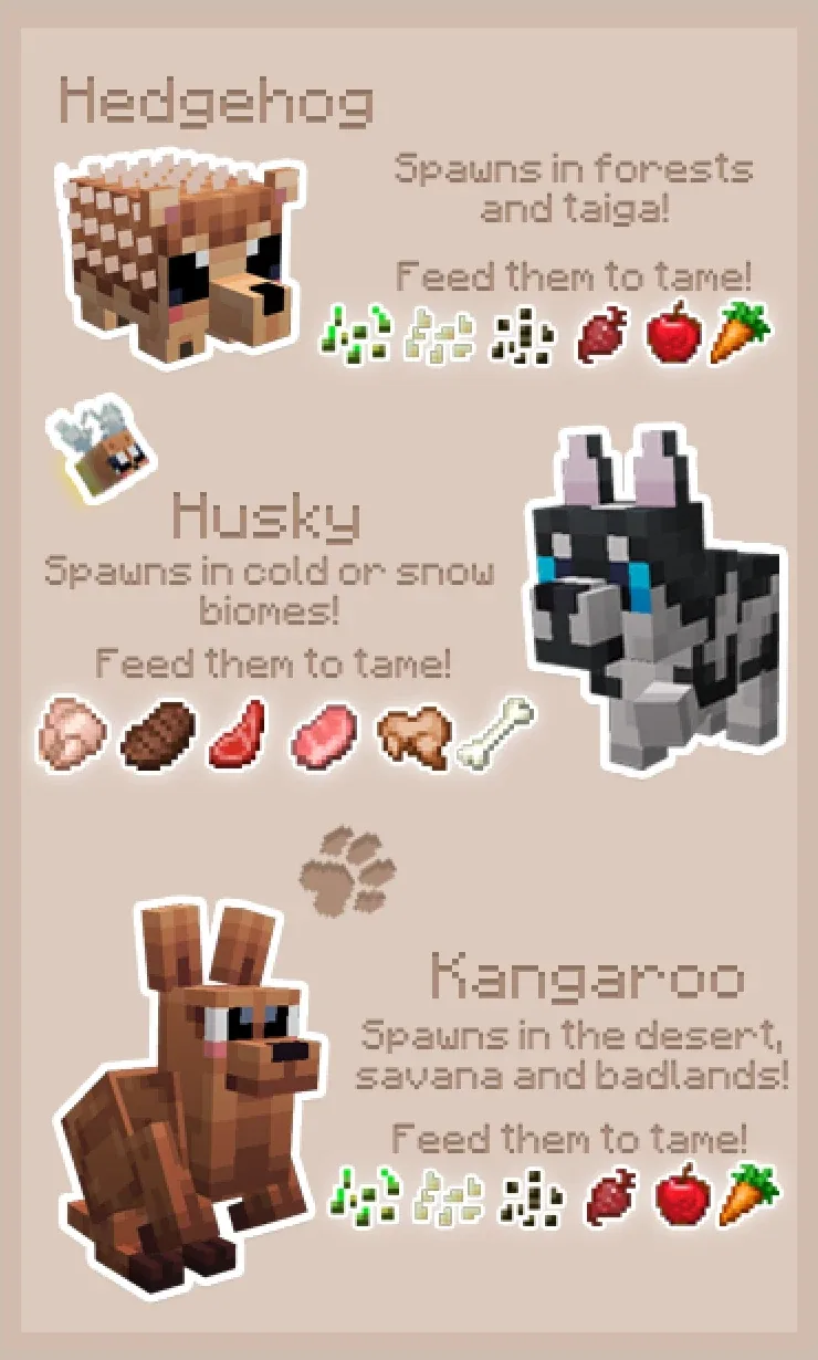 Cute Pets guide, the Hedgehog, Husky and Kangaroo pets