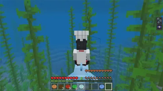 One of the 4 skins included with Magical Cookies